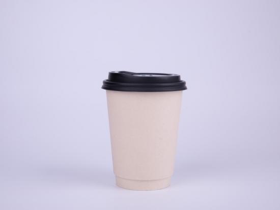 10oz PLA double wall paper cup