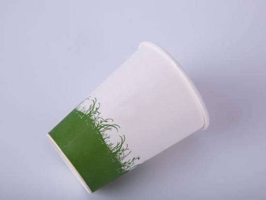 taza de pared simple a base de agua de 8 oz