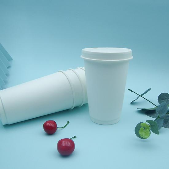 Water-based Coated 20oz Double Wall Cup